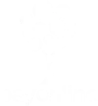 Payonline Логотип